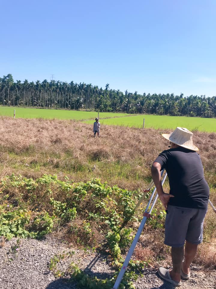 เซอร์เวย์