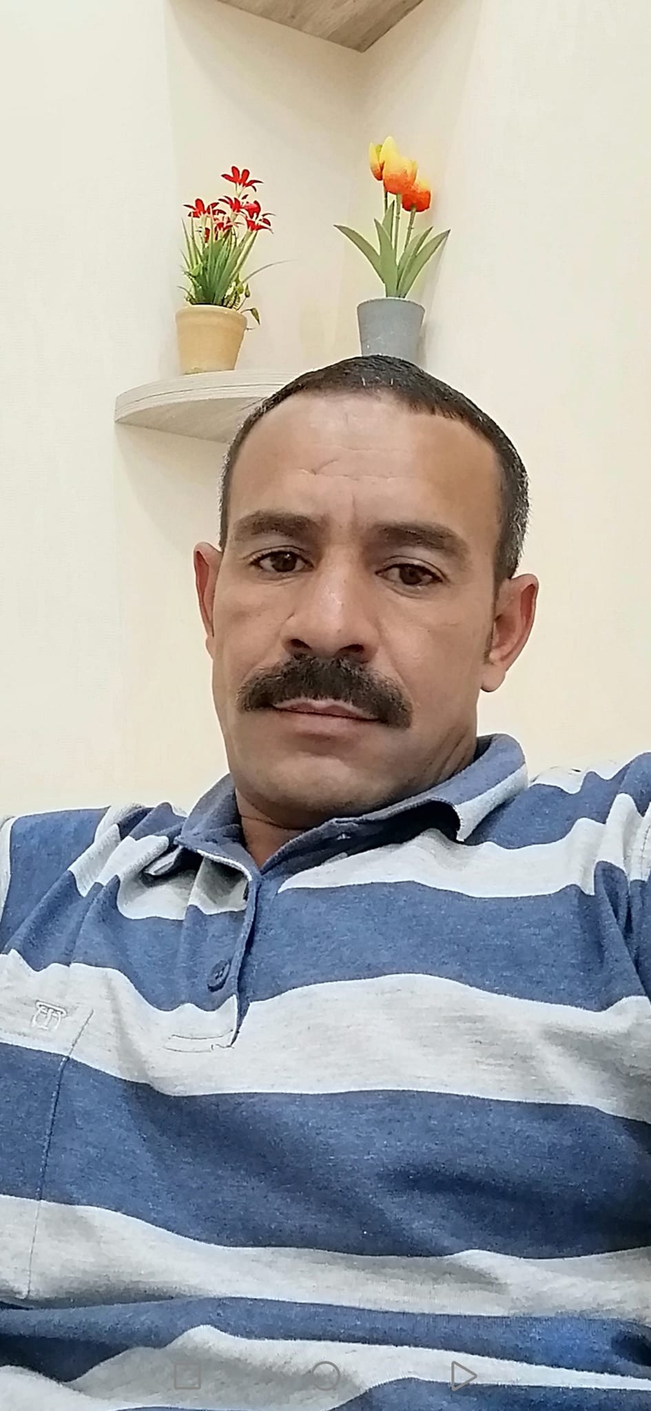 ( كفايه عناد ) لشاعر احمد الحامدى