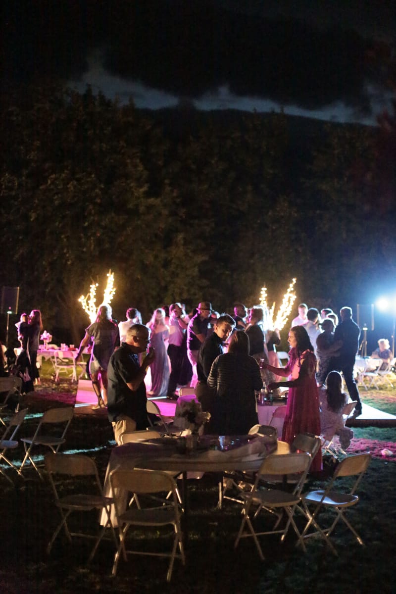 Live Entertainment Solutions