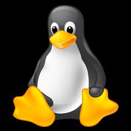Linux Installations ($60)