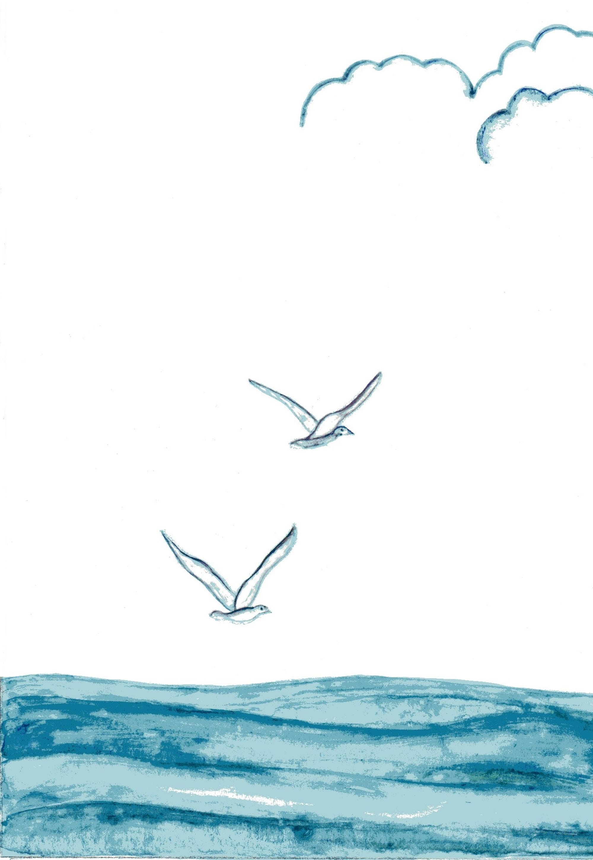 #51Gulls
