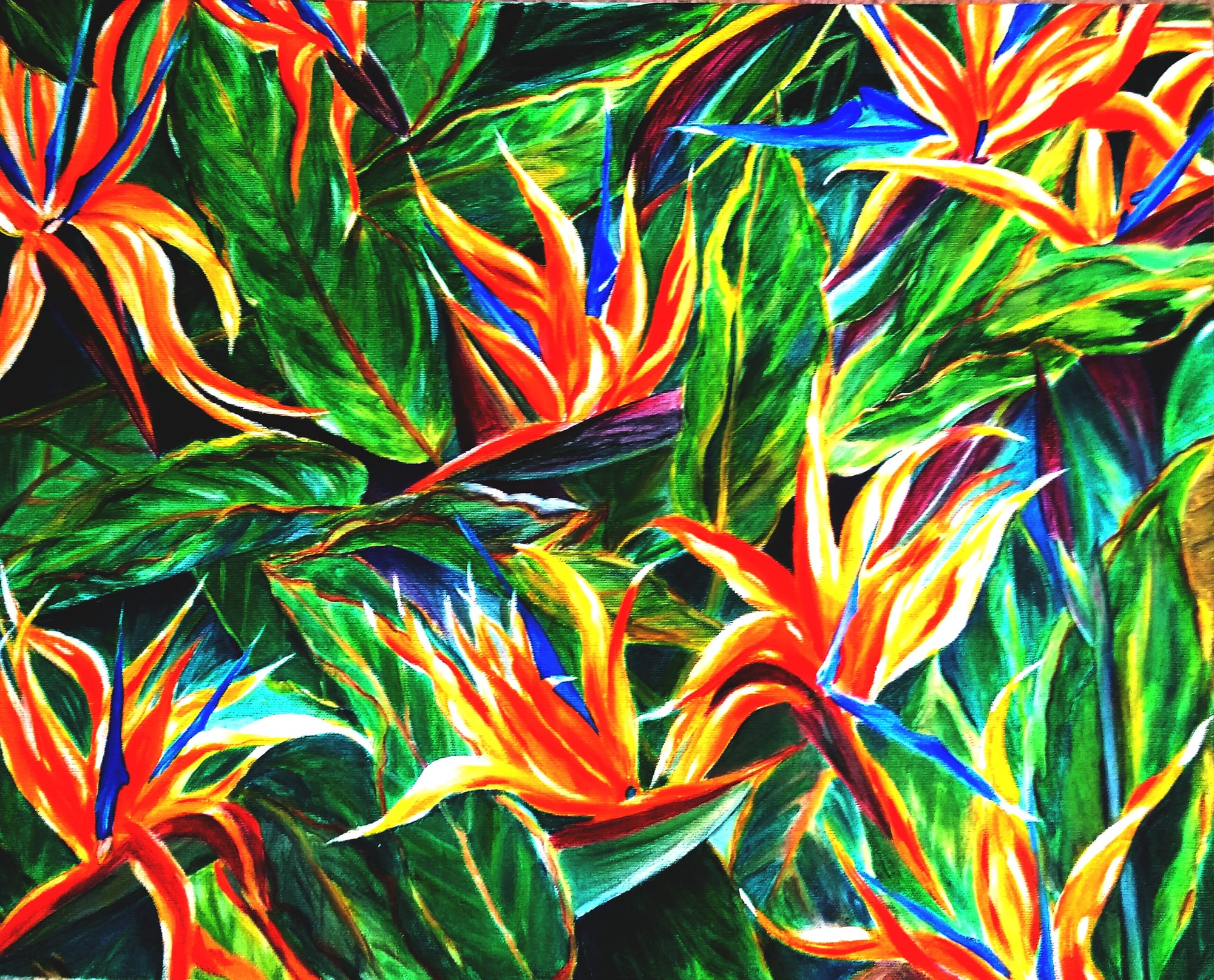 #64Paradise in Bloom1