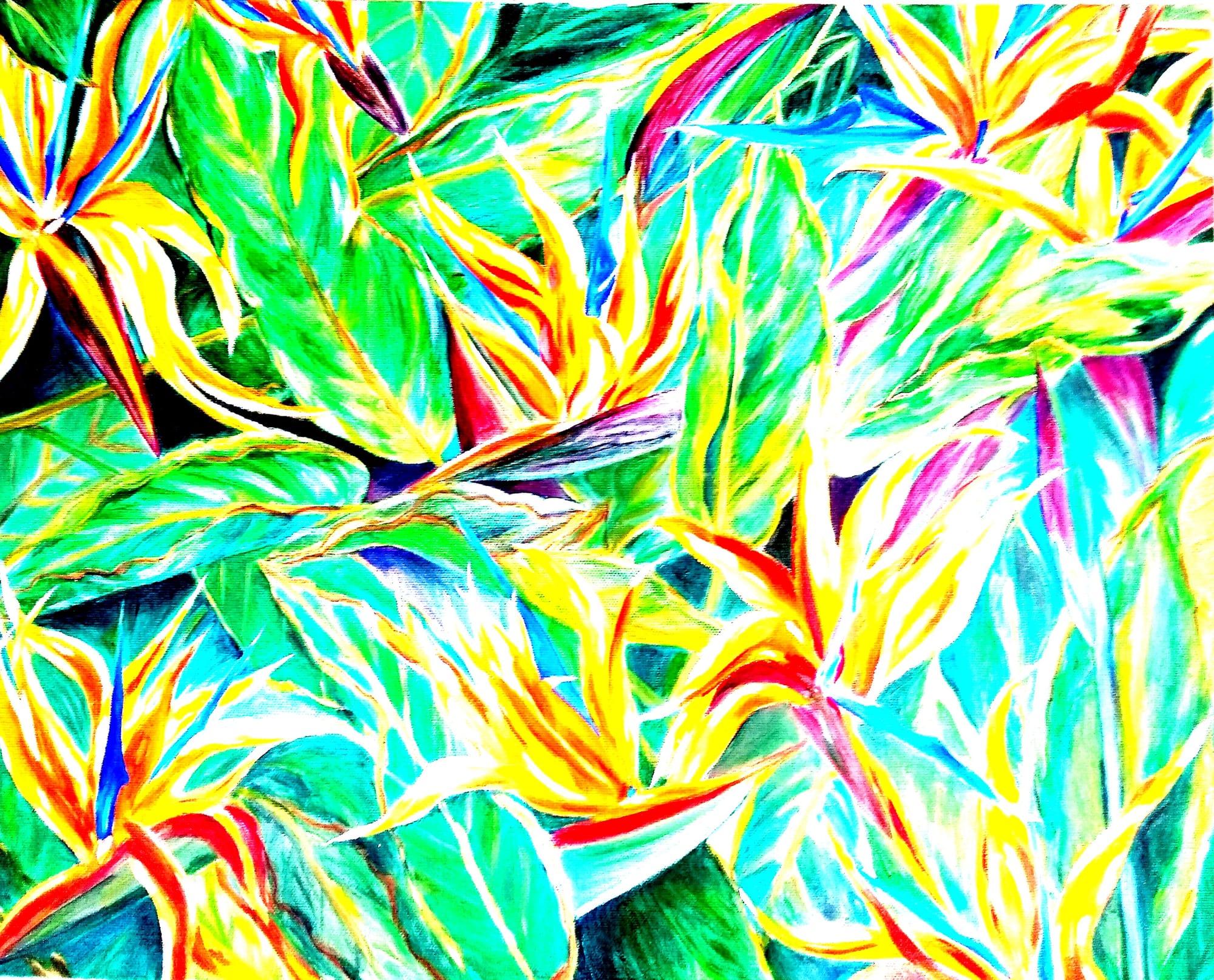 #65Paradise in Bloom2