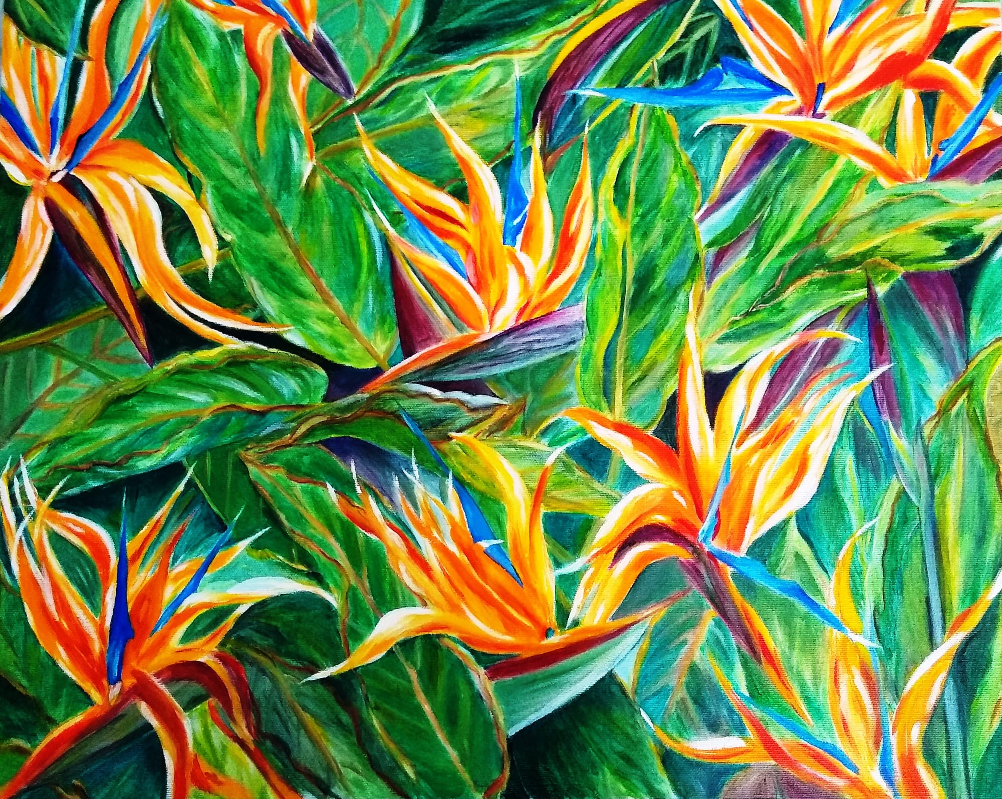 #66Paradise in Bloom3