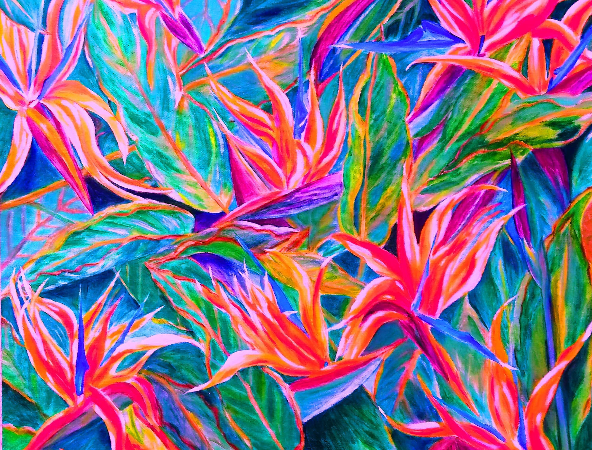 #67Paradise in Bloom4
