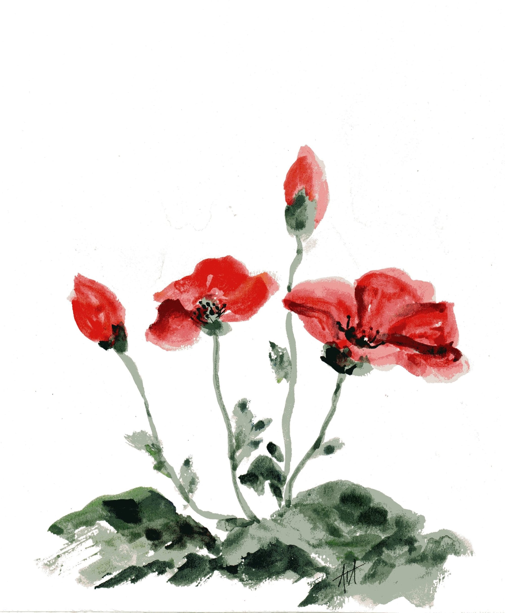 "Red Poppies"