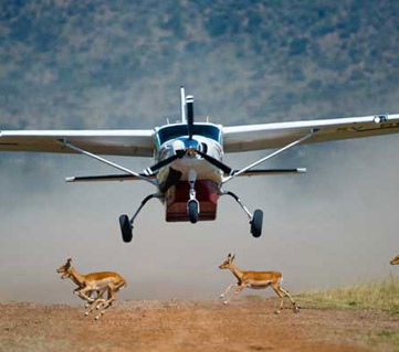 The Great Masai Mara Fly-in Safari In Kenya