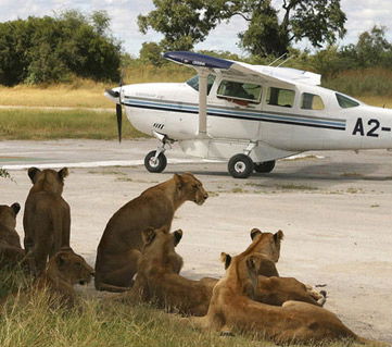 The Blissful Samburu Reserve Fly In Adventure
