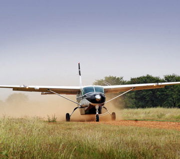 Why Do The Best African Fly-In Safari Tours Are Unrivaled Options?