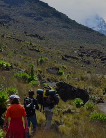 Mountain Trekking Tours Kenya: Top Advantages That You Must Learn