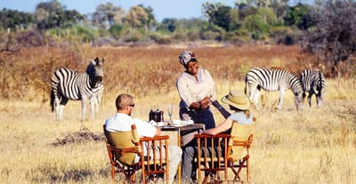 Kenya Safari Tour Operators – How Can You Choose The Best