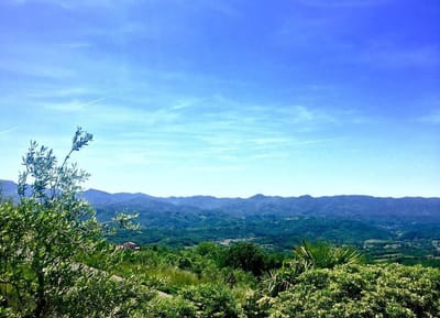 Conoscere Agnino image