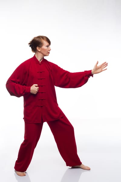 Principles And Styles Of Tai Chi Martial Art