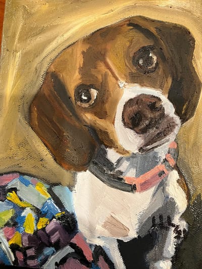 About the store image