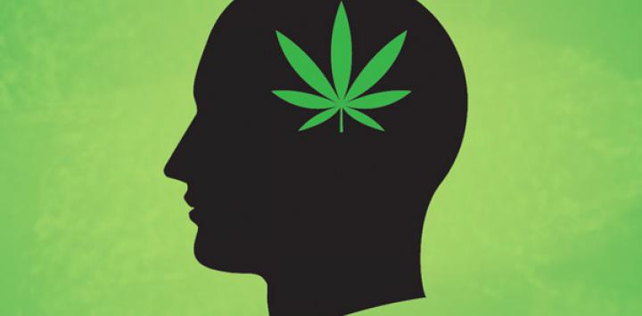 “Los Pros y los Contras de la Legalización de la MARIHUANA”