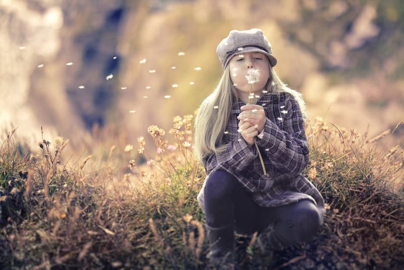¿Todos los sueños pueden volverse realidad?-El camino al éxito