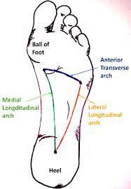 Your foot arch is linked to pelvic floor health