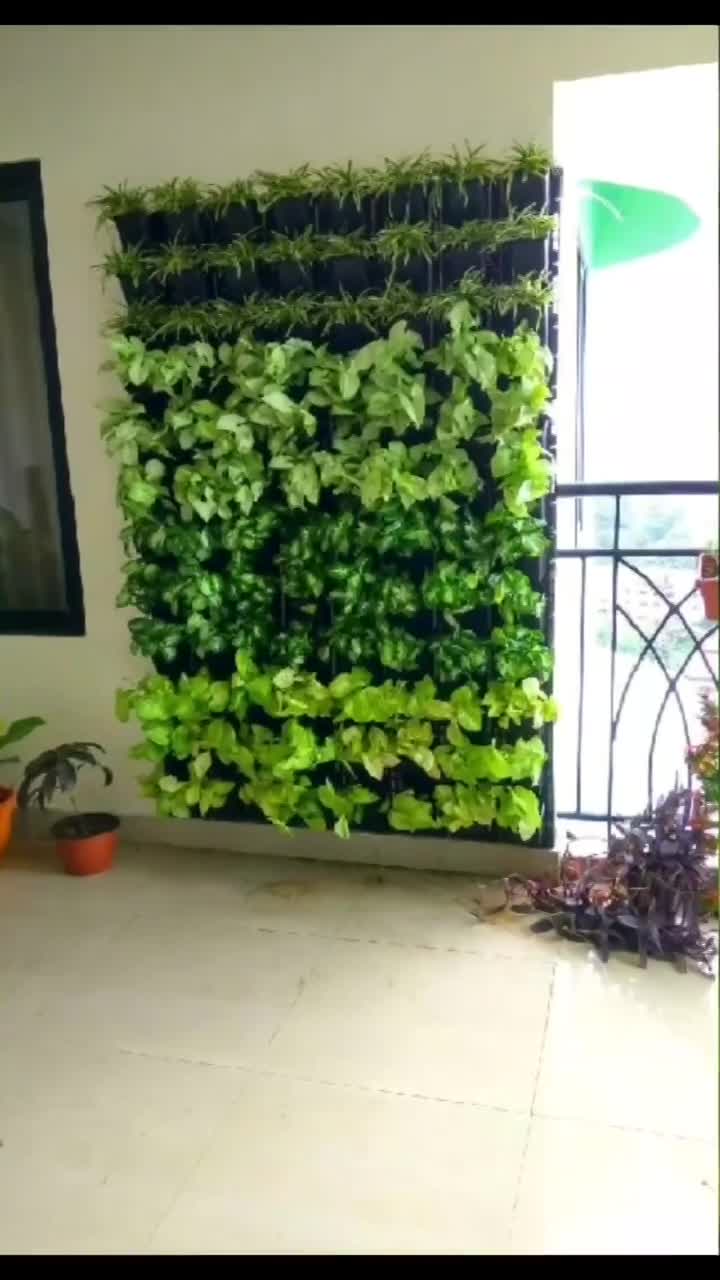 Vertical Wall Garden