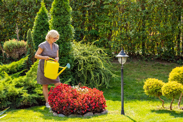 Ways To Increase The Value Of your Property With Landscaping