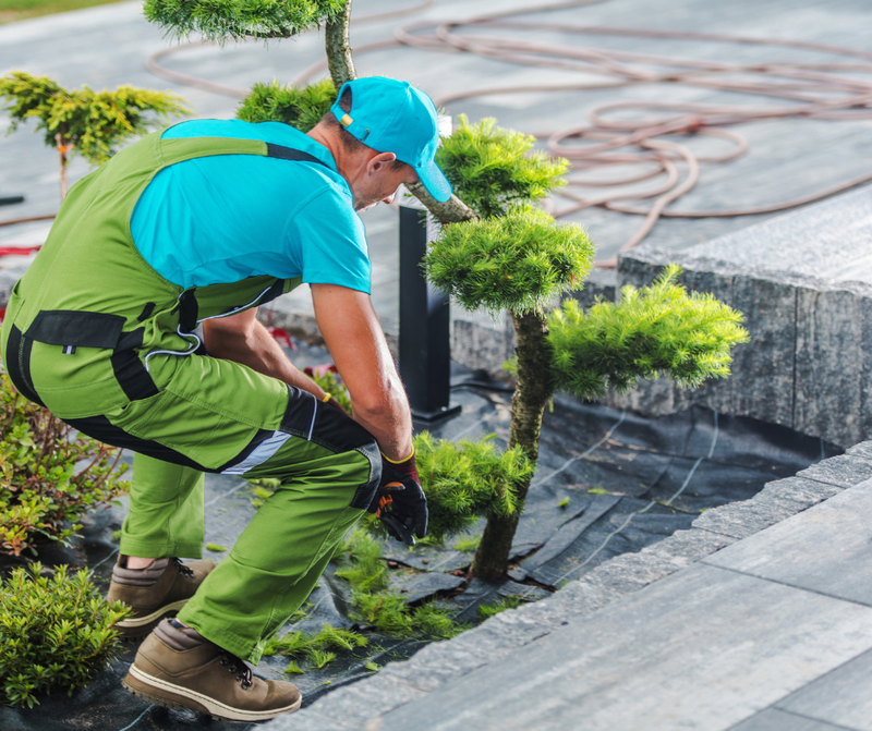 Landscaping in Encinitas: Transforming Your Outdoor Space