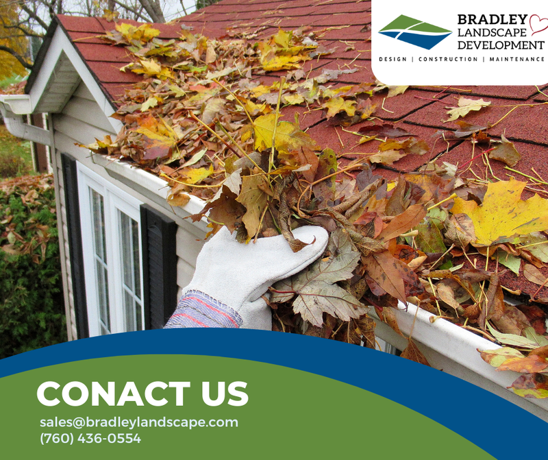 Bradley Landscape Development: Your Top Choice for Landscaping Services in Encinitas