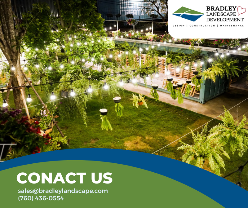 Transform Your Outdoor Space with Expert Landscape Lighting Design in Encinitas