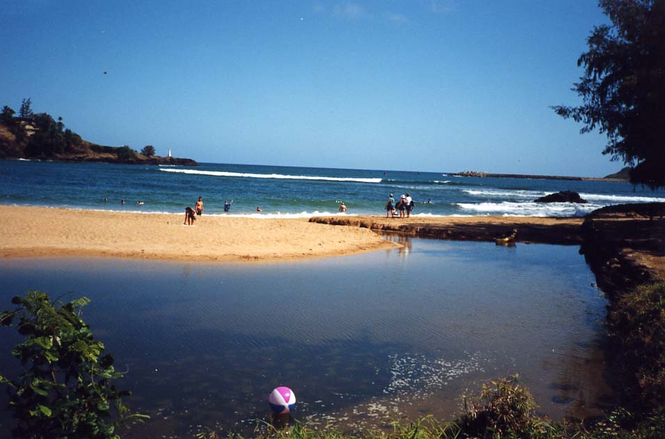 Hawaii Tank Farm Leak