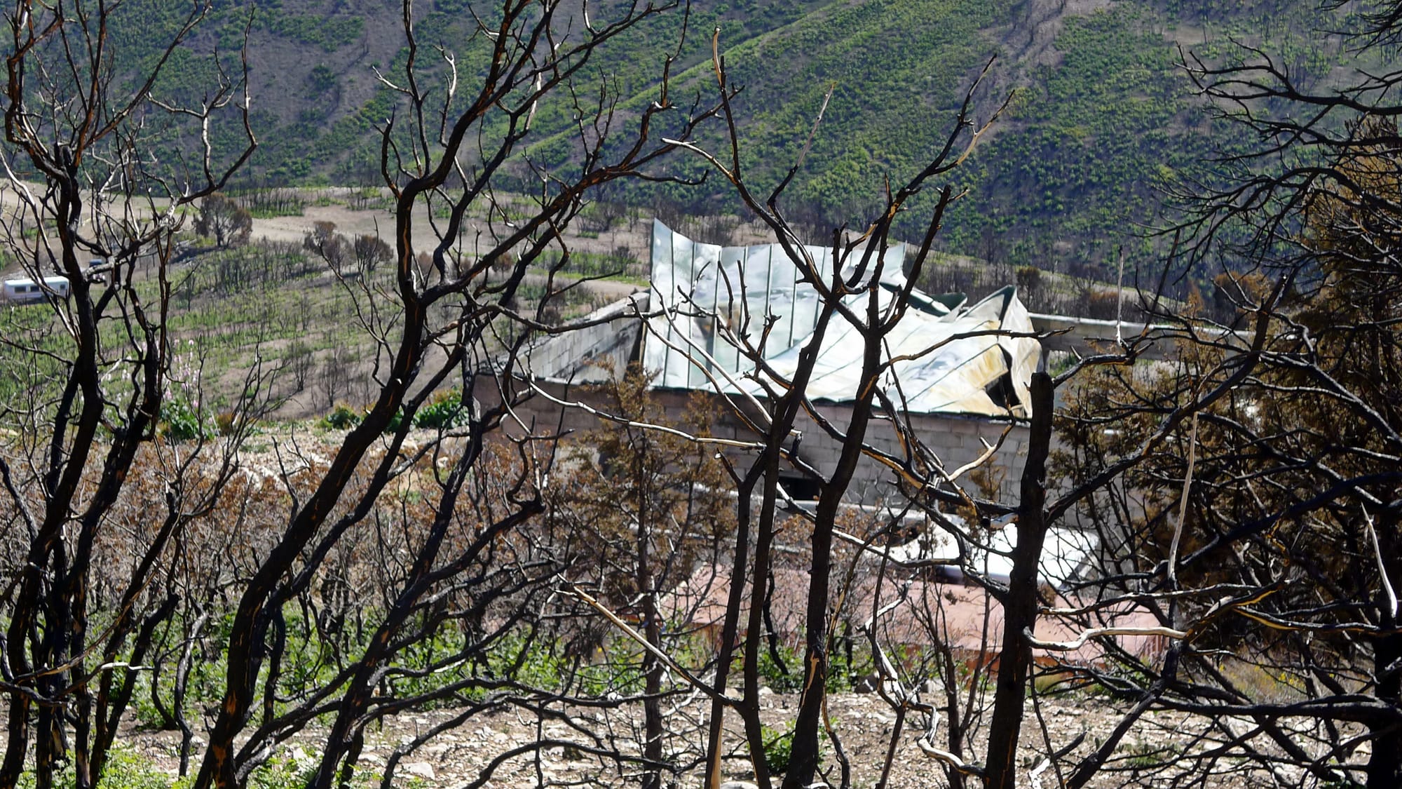 Proven Expertise in Property Valuation of Properties Impacted by Wildfires