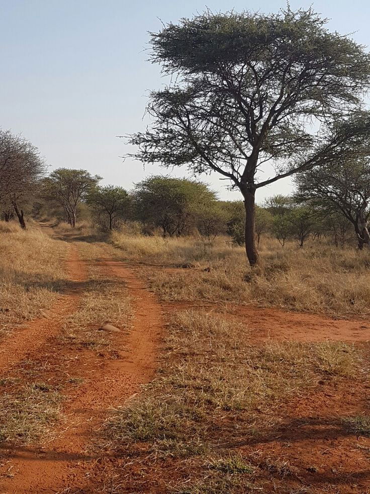 Environmental Protection Program