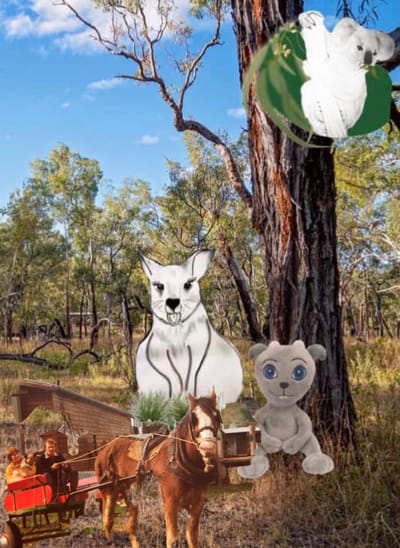 David the man who loved trees