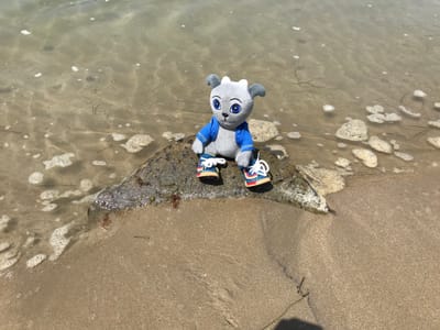 Henry's adventure to Inverloch