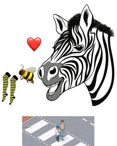 Ziggy the smiley Zebra