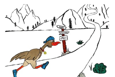 M J the trail runner