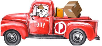 Tony the Turtle 🐢