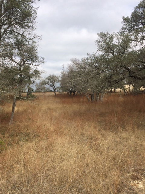 Land in Boerne