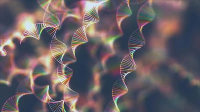 Genetics and Selection