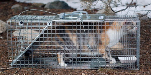 Trap - Neuter - Release/Relocate