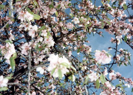 Day School - Willunga