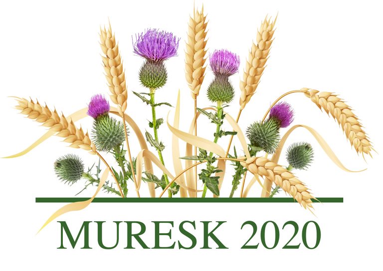 45th Australian Winter School