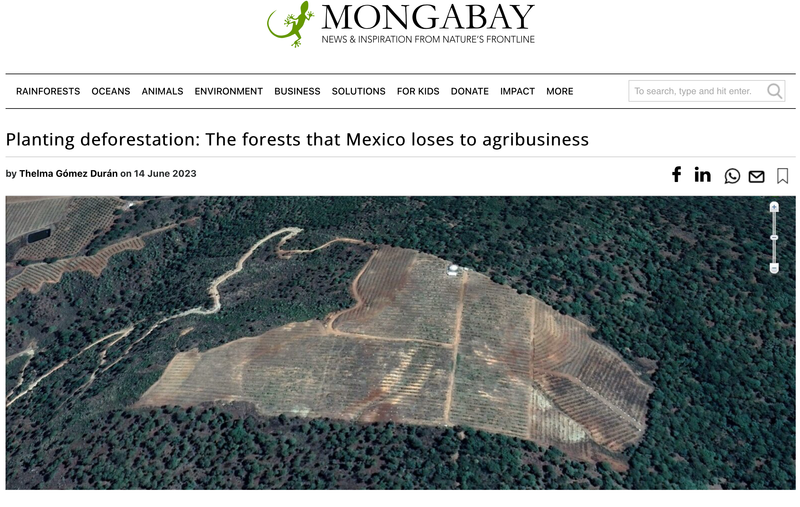 this is why starving poor families are fleeing North