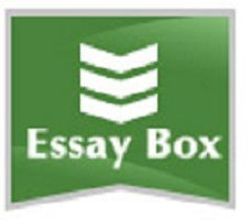 UK Essay Writing