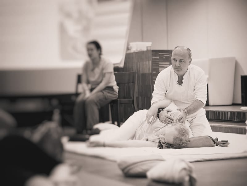 Paris - Working With The Protective Patterns Of Trauma