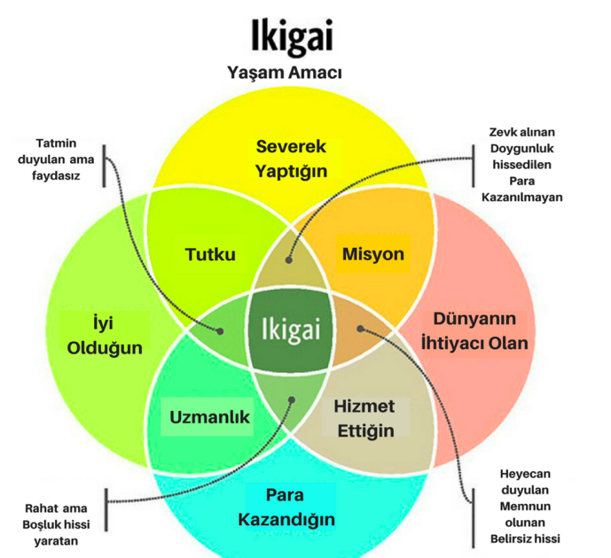 İkigai(deneme)/Gonca BORÇA