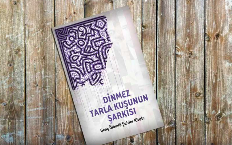 Genç Ölümlü Şairlere Dair: Dinmez Tarla Kuşunun Şarkısı/Erinç BÜYÜKAŞIK