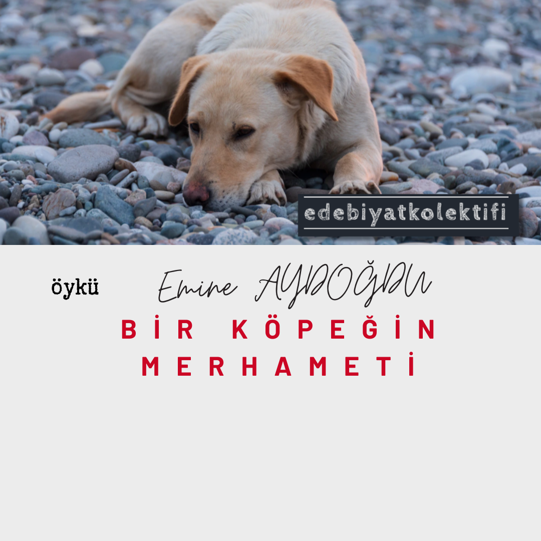 Bir Köpeğin Merhameti/Emine AYDOĞDU