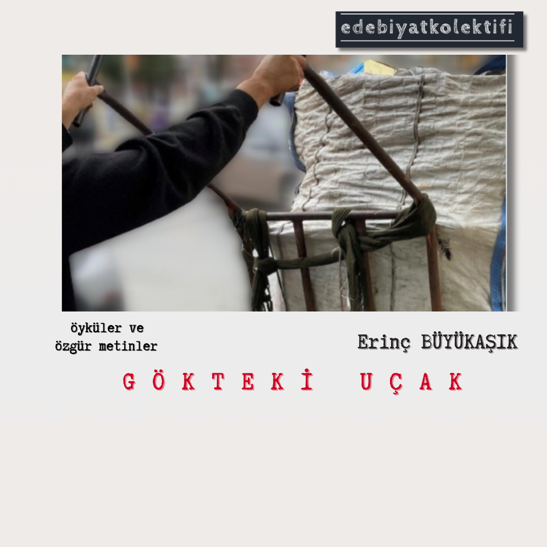 Gökteki Uçak/Erinç BÜYÜKAŞIK