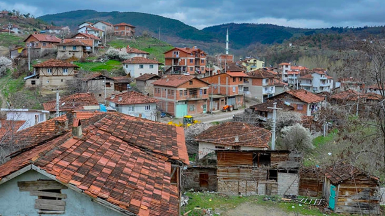 Çukurova'da Bir Sevda/Mehmet Ali GÜNER