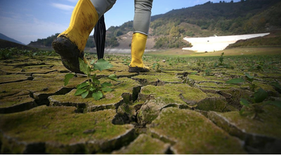 DEĞİŞEN İKLİM VE KÜLTÜREL İRADE /NURAY GÖK AKSAMAZ