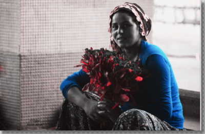 Kırmızı Sandalye/Ebru Zeynep DİŞİAÇIK