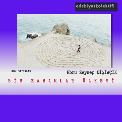 Bir Zamanlar Ülkesi/Ebru Zeynep DİŞİAÇIK